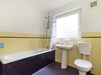 Picture 29